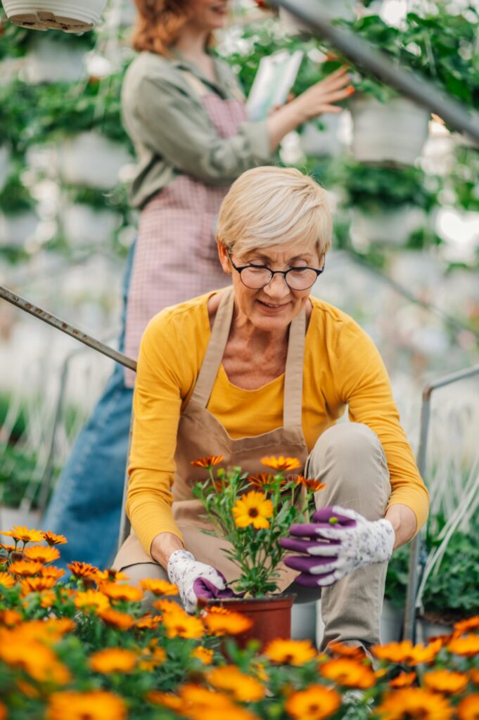 Gardeners planting flowers